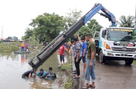 Gerak Cepat,  Camat Panakkukang Kerahkan Satgas Atasi Pohon Tumbang