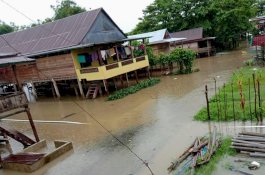Camat Tempe Wajo Mengeluh Banjir: Belum Kering Basah Lagi