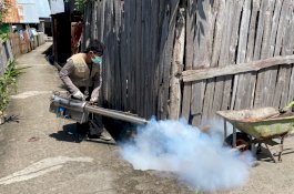 Ada 54 Kasus DBD Sepanjang Januari di Bantaeng