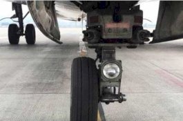 Sembunyi di Roda Pesawat Belasan Jam, Luar Biasanya Penumpang Gelap Ini Selamat