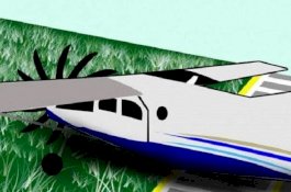 Pesawat Sky Ranger FASI Jatuh di Bumi Perkemahan Cibubur, Rusak Parah Akibat Tabrak Pohon Pisang