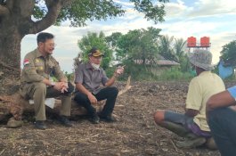 Rencana Dikunjungi Presiden Jokowi, Mentan SYL Tinjau Lokasi Tanam Jagung di Jeneponto