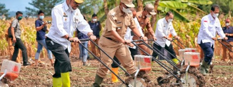Apresiasi Mentan SYL, UI: Indonesia Sukses Tingkatkan Produksi Pangan Nasional