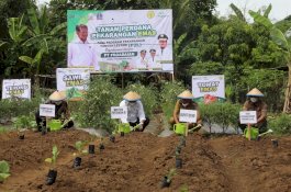 Mentan SYL Ajak Masyarakat Bone Manfaatkan Pekarangan Rumahnya Jadi Lahan Produktif