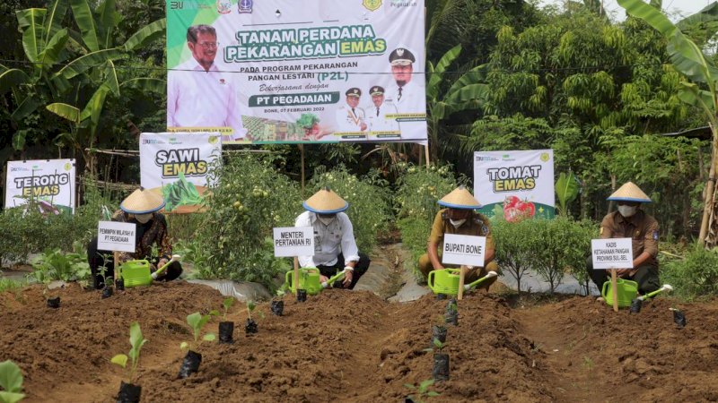 Mentan SYL Ajak Masyarakat Bone Manfaatkan Pekarangan Rumahnya Jadi Lahan Produktif