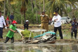 Mentan SYL Dorong Petani Bone Tingkatkan Produksi Padi dengan IP 400