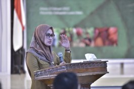 IPB University Teliti Perkebunan Kakao Rakyat di Luwu Utara