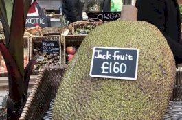 Satu Buah Nangka di Inggris Dihargai Rp3 Juta