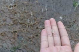 Hujan Es di Beberapa Daerah di Indonesia Kagetkan Warga