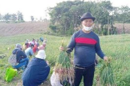 Tegas! Lima Poin Permintaan Bupati Enrekang untuk PTPN XIV Terkait Polemik Lahan