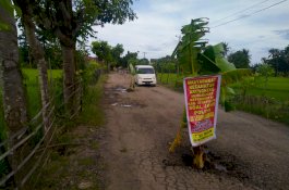 Jalan Rusak Tak Kunjung Diperbaiki, Warga Desa Palajau Jeneponto Tanam Pohon Pisang di Jalan