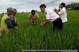 Andi Sudirman Inisiasi Mandiri Benih untuk Petani