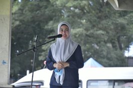 Bupati Luwu Utara Siap Hadirkan Lagi Program untuk Penggiat Sosial Budaya