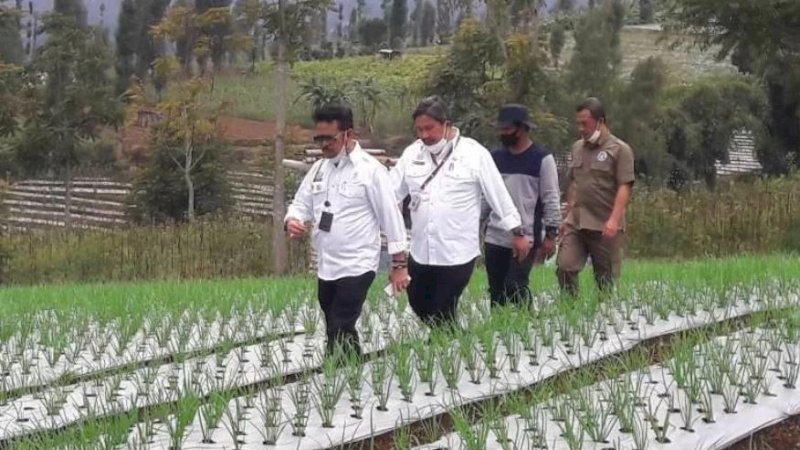 Kementerian Pertanian (Kementan) terus mengembangkan kampung maupun kawasan agroindustri sayuran dan tanaman obat. (Foto: Antara/Heru Suyitno)