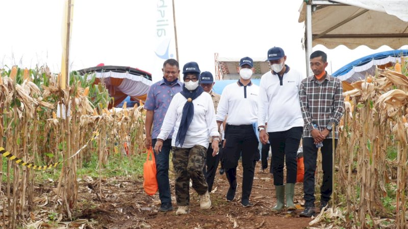Produksi Jagung di Gowa Diharap Semakin Meningkat