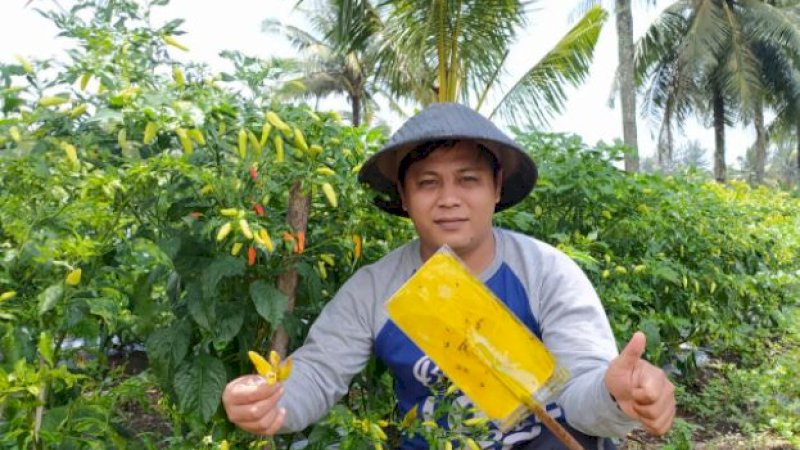 Diperkirakan total produksi cabai besar nasional pada April 2022 sebesar 107.932 ton dengan kebutuhan sebesar 109.125 ton.