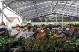 Kementan Dukung Pengembangan Green House, Cikal Bakal Pemasok Tanaman Hias Ekspor