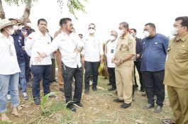 Kementan Kenalkan Tanam Kedelai dan Jagung Sistem Methuk