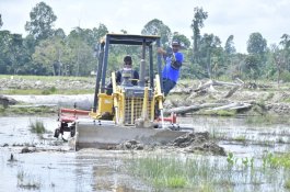 Bupati Luwu Utara Tinjau Optimalisasi Area Persawahan di Desa Radda