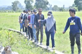 Pemkab Luwu Utara Rehabilitasi Lahan Pertanian yang Terdampak Banjir