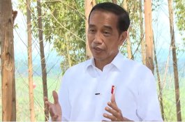 Usulan Perayaan HUT RI di IKN Nusantara, Presiden Jokowi: Kita Lihat Nanti