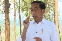Presiden Jokowi Sebut Hitungan Sementara Pembangunan IKN Butuh Rp466 Triliun