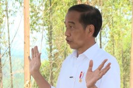 Presiden Jokowi: Pembangunan IKN Nusantara Pekerjaan Rumit, Butuh 15-20 Tahun
