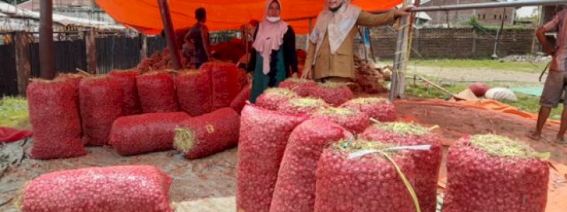 Panen Mulai Marak, Harga Bawang Merah akan Kembali Normal