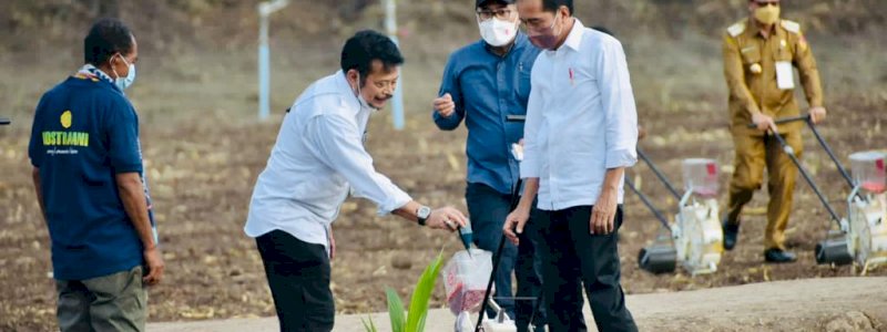 Presiden Jokowi Didampingi Mentan SYL Tanam Jagung di Kawasan Food Estate Belu NTT  &nbsp;