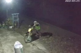 Aksi Pencuri Gabah Bersepeda Motor ala Valentino Rossi di Sidrap Terekam CCTV