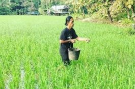 Terima Anugerah Kick Andy Heroes, Penjaga Alam Karst Rammang-Rammang Berterima Kasih ke Mentan SYL