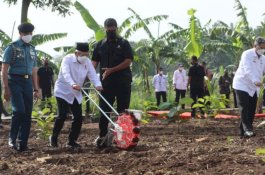 Wapres Maruf Amin Ajak Masyarakat Bertani dengan Konsep Integrated Farming
