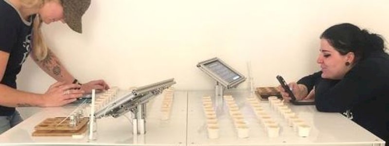 Kecerdasan Buatan Bantu Ciptakan Parfum Unik Sesuai Suasana Hati Pemakai