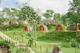 Lokasi Glamping Terbaik di Indonesia, Cocok untuk Liburan Keluarga