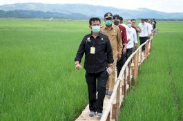 Kementan dan Petani Indramayu Bangun Kemandirian Benih Padi