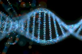 Ilmuwan Berhasil Uraikan Seluruh Genom Manusia