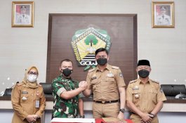 Pangkas Pohon yang Mudah Tumbang, Pemkab Gowa Gandeng Kodim 1409 dan Walhi