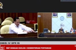 DPR Dukung Kementan Terkait Produksi Padi dan Jagung yang Mulai Buahkan Hasil