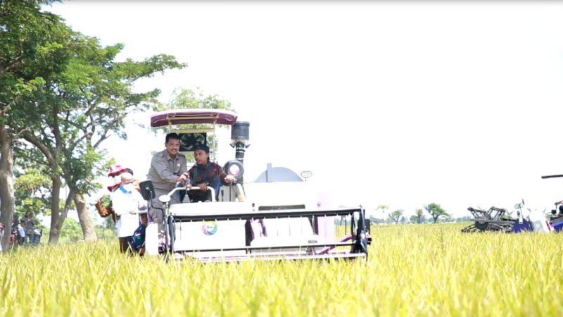 Pastikan Stok Beras Aman, Ombudsman dan Kementan Monitoring Panen Padi 