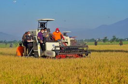 Kementan - Kemenperin Dorong Inovasi Industri Kreatif Pangan Berbasis Digital