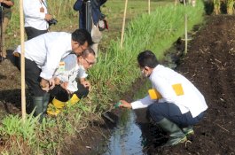 Antisipasi Kemarau 2022, Kementan Dorong Gerakan Panen Air