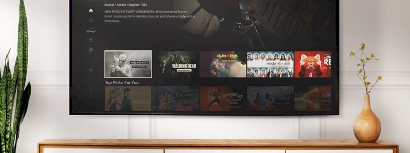 Disney+ Hotstar Kini dapat Diakses di STB IndiHome TV
