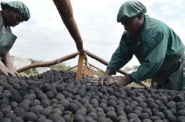 Di Kenya, Kotoran Manusia Jadi Bahan Bakar untuk Memanggang Makanan