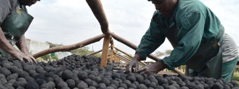 Di Kenya, Kotoran Manusia Jadi Bahan Bakar untuk Memanggang Makanan