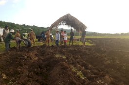 Kadistan Belu Klarifikasi: Food Estate Belu Tidak Gagal, Ini Faktanya