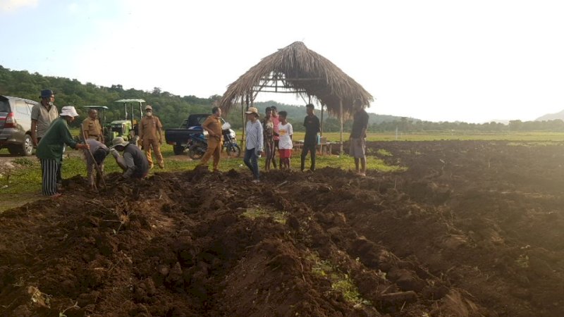 Kadistan Belu Klarifikasi: Food Estate Belu Tidak Gagal, Ini Faktanya