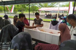 Lapak Daging Ayam di Pasar Murah Barru Paling Diburu Warga