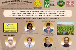 Kementan Kembangkan Ganyong, Pangan Lokal Pengganti Beras dan Tepung Terigu