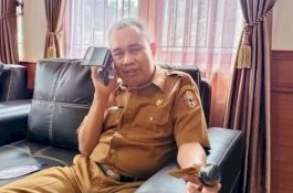 Pemkab Wajo Ungkap Penyebab TPP ASN Belum Cair