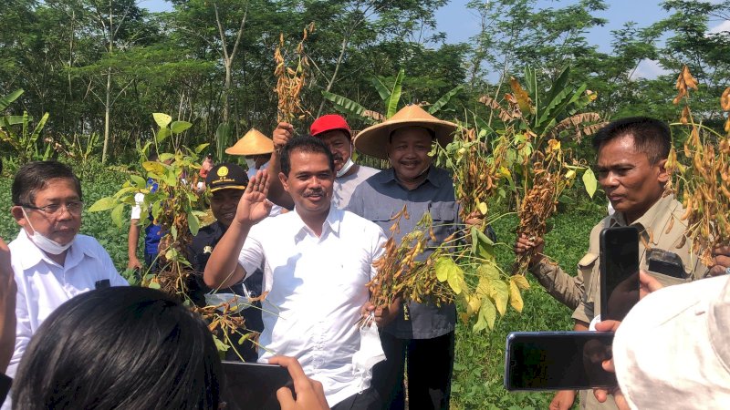 Kementan Terus Bergerak, Lakukan Panen Kedelai di Sukoharjo dan Sosialisasi Pupuk Organik Hayati